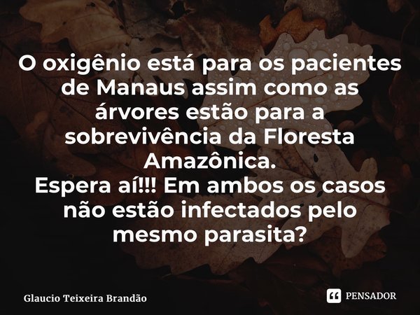 ⁠O oxigênio está para os pacientes de Manaus assim como as árvores estão para a sobrevivência da Floresta Amazônica. Espera aí!!! Em ambos os casos não estão in... Frase de Glaucio Teixeira Brandão.