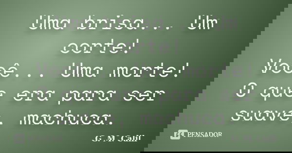 Uma brisa... Um corte! Você... Uma morte! O que era para ser suave, machuca.... Frase de G. M. Calil.