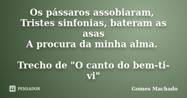 Os pássaros assobiaram, Tristes sinfonias, bateram as asas A procura da minha alma. Trecho de "O canto do bem-ti-vi"... Frase de Gomes Machado.