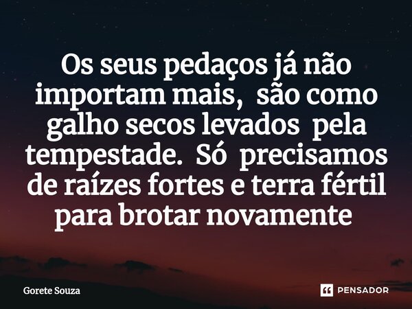 Os seus pedaços já não importam mais, são como galho secos levados pela tempestade. Só precisamos de raízes fortes e terra fértil para brotar novamente ⁠... Frase de Gorete Souza.
