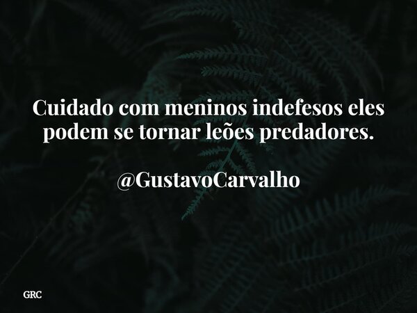 Cuidado com meninos indefesos eles podem se tornar leões predadores. @GustavoCarvalho... Frase de GRC.