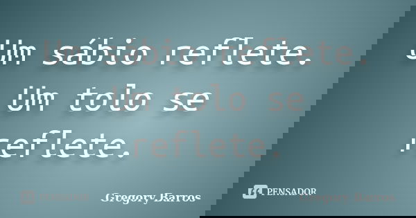 Um sábio reflete. Um tolo se reflete.... Frase de Gregory Barros.