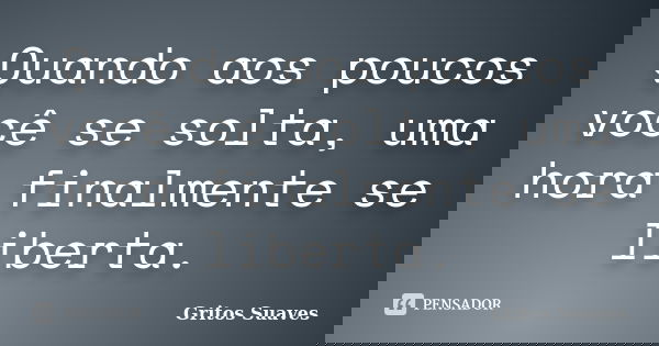 Quando aos poucos você se solta, uma hora finalmente se liberta.... Frase de Gritos Suaves.