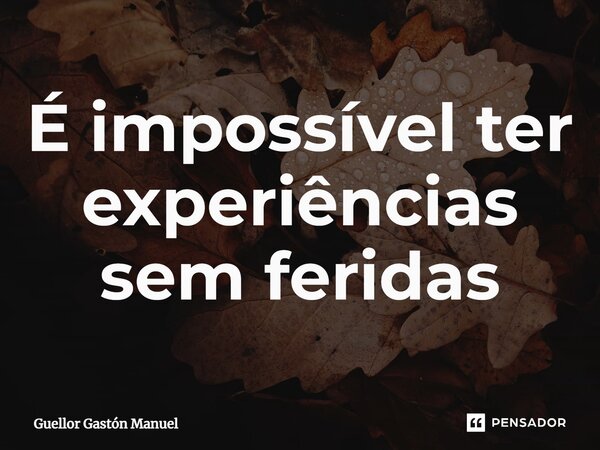 ⁠É impossível ter experiências sem feridas... Frase de Guellor Gastón Manuel.