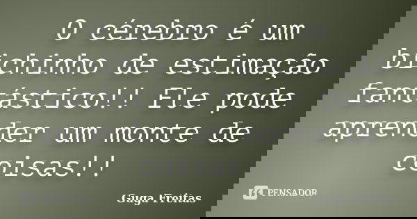 O cérebro é um bichinho de estimação fantástico!! Ele pode aprender um monte de coisas!!... Frase de Guga Freitas.
