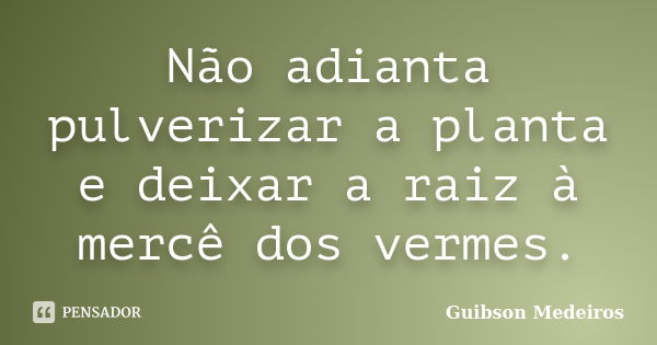 Não adianta pulverizar a planta e deixar a raiz à mercê dos vermes.... Frase de Guibson Medeiros.