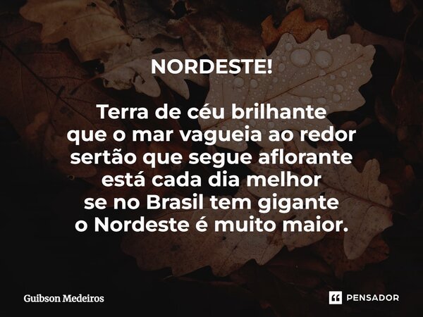 ⁠NORDESTE! Terra de céu brilhante que o mar vagueia ao redor sertão que segue aflorante está cada dia melhor se no Brasil tem gigante o Nordeste é muito maior.... Frase de Guibson Medeiros.