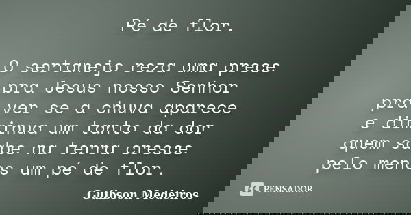 Pé de flor. O sertanejo reza uma prece pra Jesus nosso Senhor pra ver se a chuva aparece e diminua um tanto da dor quem sabe na terra cresce pelo menos um pé de... Frase de Guibson Medeiros.