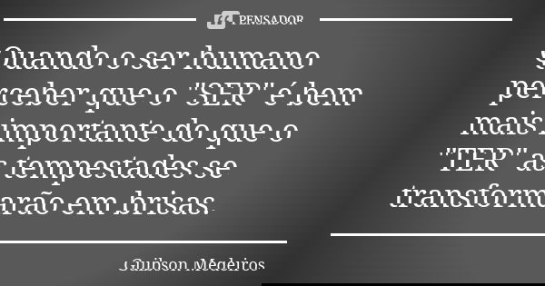 Quando o ser humano perceber que o "SER" é bem mais importante do que o "TER" as tempestades se transformarão em brisas.... Frase de Guibson Medeiros.