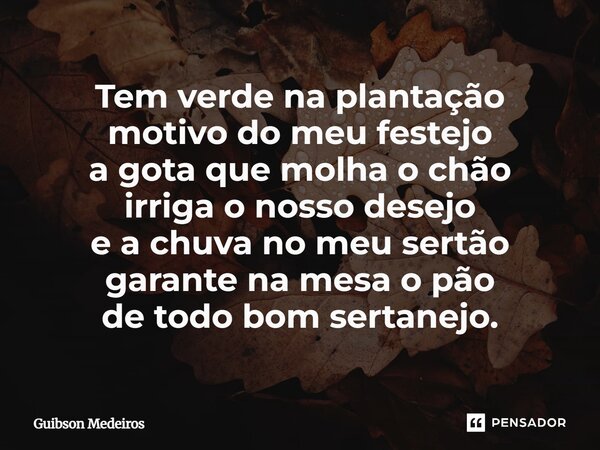 ⁠Tem verde na plantação motivo do meu festejo a gota que molha o chão irriga o nosso desejo e a chuva no meu sertão garante na mesa o pão de todo bom sertanejo.... Frase de Guibson Medeiros.
