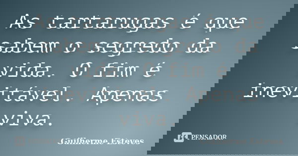 As tartarugas é que sabem o segredo da vida. O fim é inevitável. Apenas viva.... Frase de Guilherme Esteves.