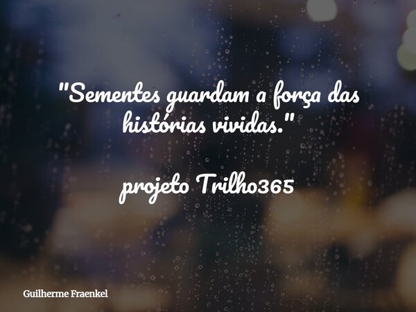 "Sementes guardam a força das histórias vividas." projeto Trilho365... Frase de Guilherme Fraenkel.