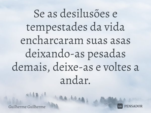 ⁠Se as desilusões e tempestades da vida encharcaram suas asas deixando-as pesadas demais, deixe-as e voltes a andar.... Frase de Guilherme Guilherme.