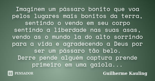 Imaginem um pássaro bonito que voa pelos lugares mais bonitos da terra, sentindo o vendo em seu corpo sentindo a liberdade nas suas asas, vendo as o mundo la do... Frase de Guilherme Kauling.