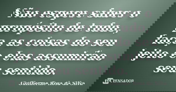Não espere saber o propósito de tudo, faça as coisas do seu jeito e elas assumirão seu sentido.... Frase de Guilherme Rosa da Silva.