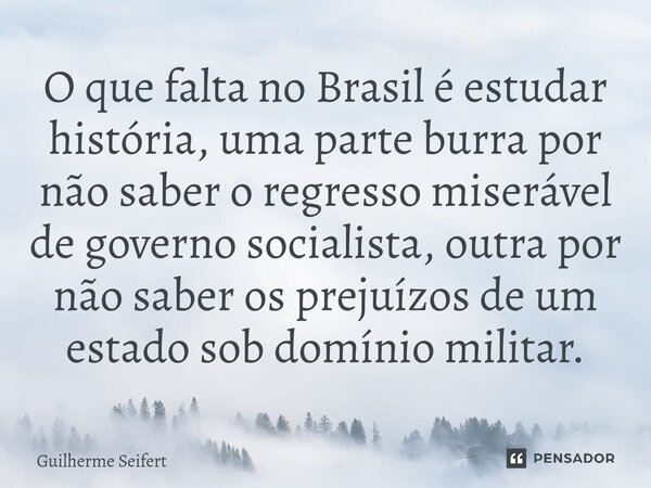 ⁠O que falta no Brasil é estudar história, uma parte burra por não saber o regresso miserável de governo socialista, outra por não saber os prejuízos de um esta... Frase de Guilherme Seifert.