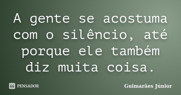 A gente se acostuma com o silêncio, até porque ele também diz muita coisa.... Frase de Guimarães Júnior.