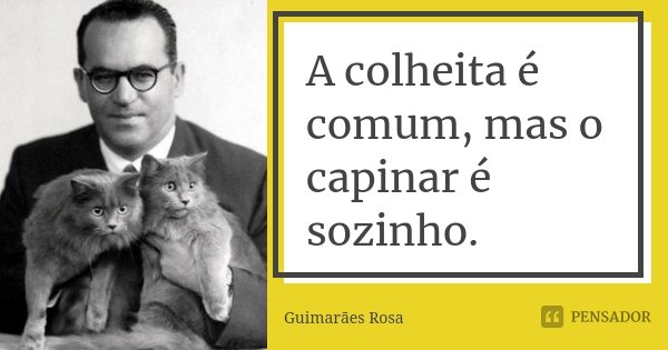 A colheita é comum, mas o capinar é sozinho.... Frase de Guimarães Rosa.