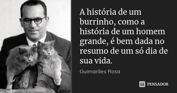 A história de um burrinho, como a história de um homem grande, é bem dada no resumo de um só dia de sua vida.... Frase de Guimarães Rosa.