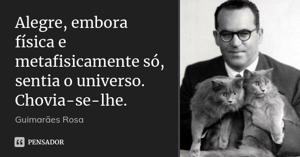 Alegre, embora física e metafisicamente só, sentia o universo. Chovia-se-lhe.... Frase de Guimarães Rosa.