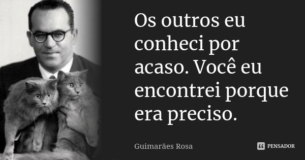 Os outros eu conheci por acaso. Você eu encontrei porque era preciso.... Frase de Guimarães Rosa.