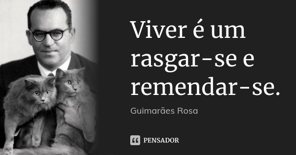 Viver é um rasgar-se e remendar-se.... Frase de Guimarães Rosa.