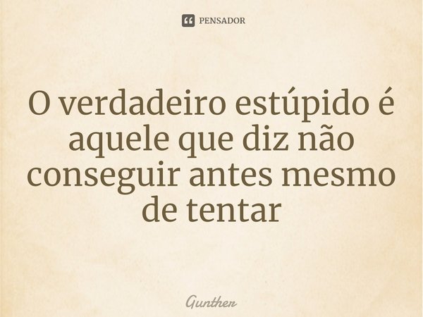 ⁠O verdadeiro estúpido é aquele que diz não conseguir antes mesmo de tentar... Frase de Gunther.