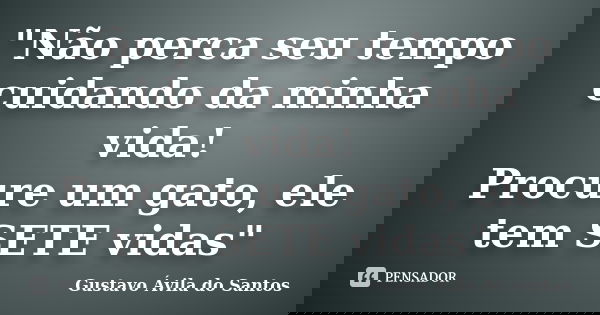 "Não perca seu tempo cuidando da minha vida! Procure um gato, ele tem SETE vidas"... Frase de Gustavo Ávila do Santos.