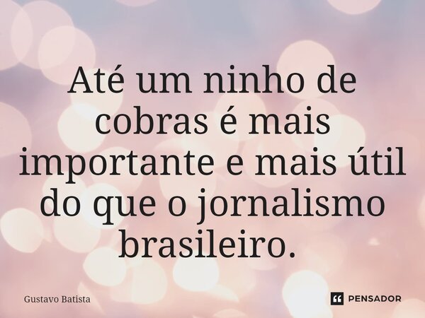 Até um ninho de cobras é mais importante e mais útil do que o jornalismo brasileiro. ⁠... Frase de Gustavo Batista.
