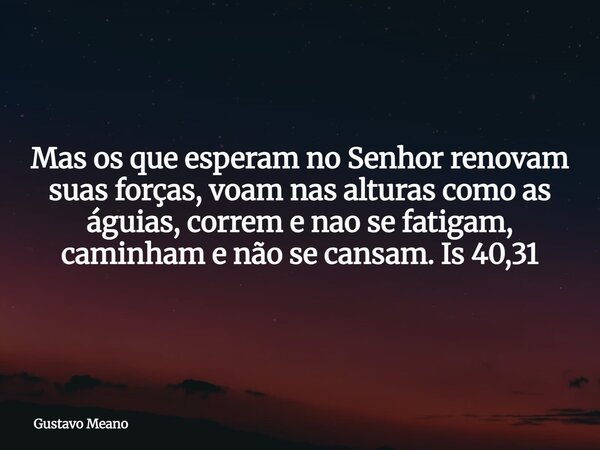 Mas os que esperam no Senhor renovam suas forças, voam nas alturas como as águias, correm e nao se fatigam, caminham e não se cansam. Is 40,31... Frase de Gustavo Meano.