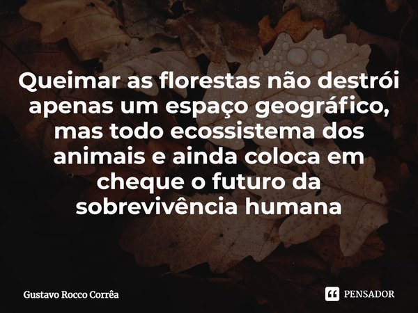 ⁠Queimar as florestas não destrói apenas um espaço geográfico, mas todo ecossistema dos animais e ainda coloca em cheque o futuro da sobrevivência humana... Frase de Gustavo Rocco Corrêa.