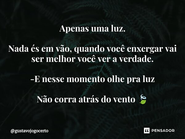 ⁠Apenas uma luz. Nada és em vão, quando você enxergar vai ser melhor você ver a verdade. -E nesse momento olhe pra luz Não corra atrás do vento 🍃... Frase de gustavojogocerto.