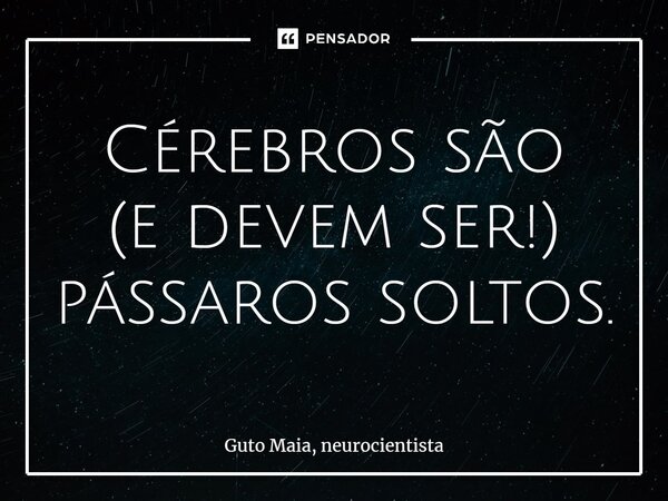 ⁠Cérebros são (e devem ser!) pássaros soltos.... Frase de Guto Maia, neurocientista.