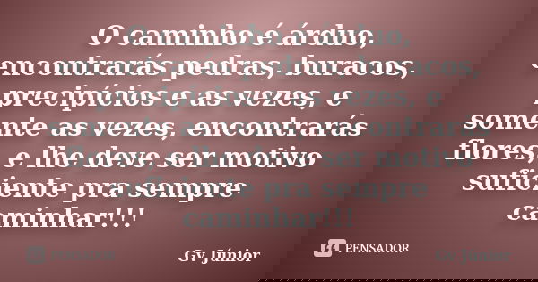 O caminho é árduo, encontrarás pedras, buracos, precipícios e as vezes, e somente as vezes, encontrarás flores, e lhe deve ser motivo suficiente pra sempre cami... Frase de Gv Júnior.
