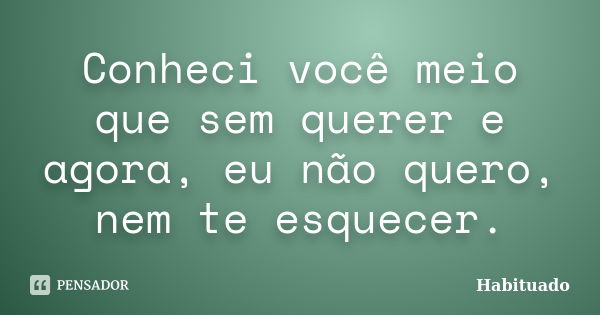 Conheci você meio que sem querer e agora, eu não quero, nem te esquecer.... Frase de Habituado.