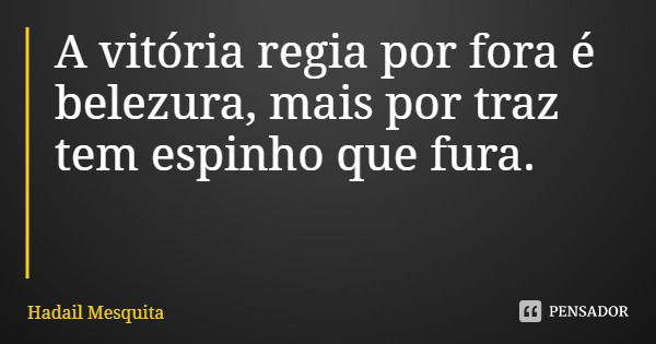 A vitória regia por fora é belezura, mais por traz tem espinho que fura.... Frase de Hadail Mesquita.
