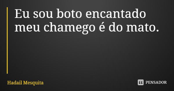 Eu sou boto encantado meu chamego é do mato.... Frase de Hadail Mesquita.