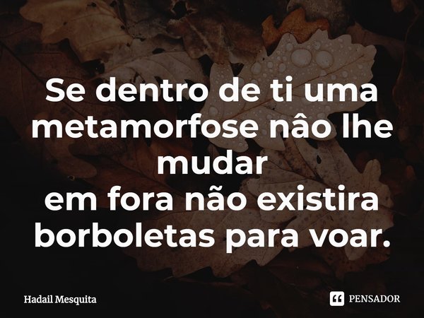 Se dentro de ti uma metamorfose não lhe mudar
em fora não existira
borboletas para voar.... Frase de Hadail Mesquita.