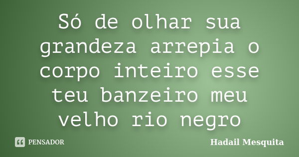 Só de olhar sua grandeza arrepia o corpo inteiro esse teu banzeiro meu velho rio negro... Frase de Hadail Mesquita.