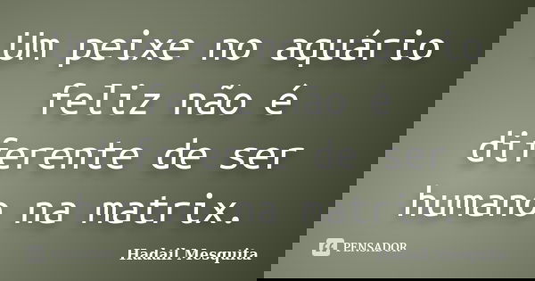 Um peixe no aquário feliz não é diferente de ser humano na matrix.... Frase de Hadail Mesquita.