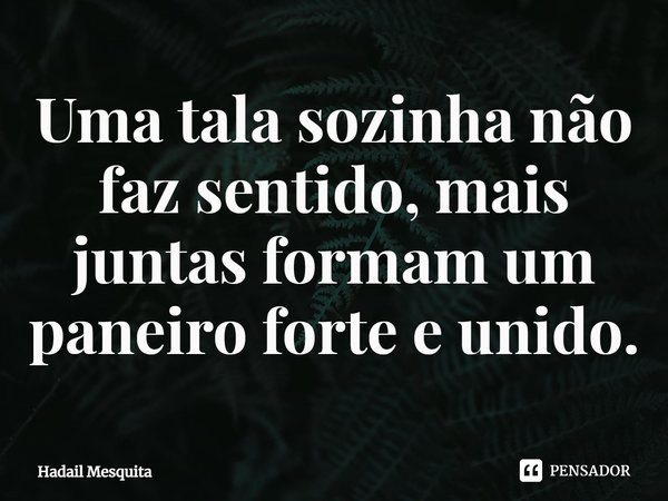 ⁠⁠Uma tala sozinha não faz sentido, mais juntas formam um paneiro forte e unido.... Frase de Hadail Mesquita.