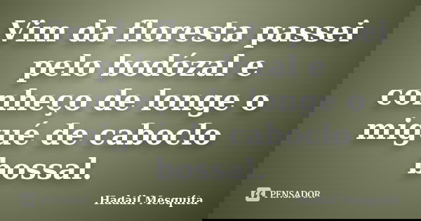Vim da floresta passei pelo bodózal e conheço de longe o migué de caboclo bossal.... Frase de Hadail Mesquita.