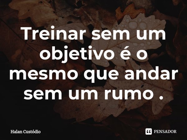 ⁠Treinar sem um objetivo é o mesmo que andar sem um rumo .... Frase de Halan Custodio.