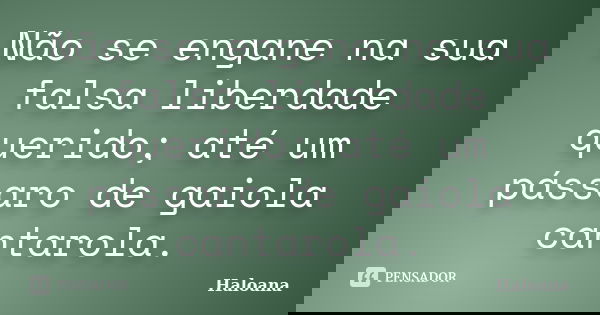 Não se engane na sua falsa liberdade querido; até um pássaro de gaiola cantarola.... Frase de Haloana.