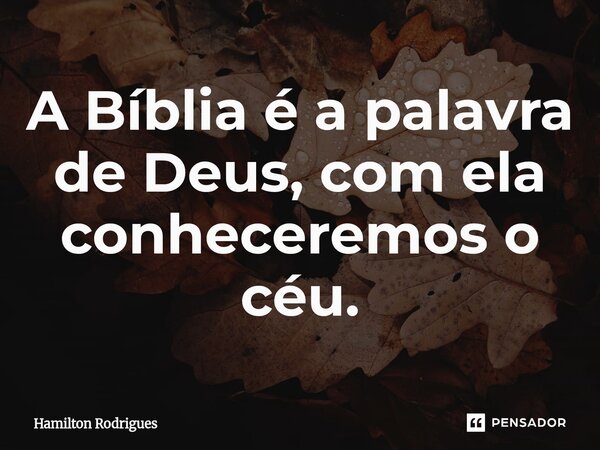 A Bíblia é a palavra de Deus, com ela conheceremos o céu.... Frase de Hamilton Rodrigues.