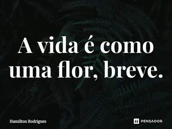 ⁠A vida é como uma flor, breve.... Frase de Hamilton Rodrigues.