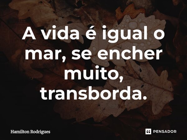 ⁠A vida é igual o mar, se encher muito, transborda.... Frase de Hamilton Rodrigues.