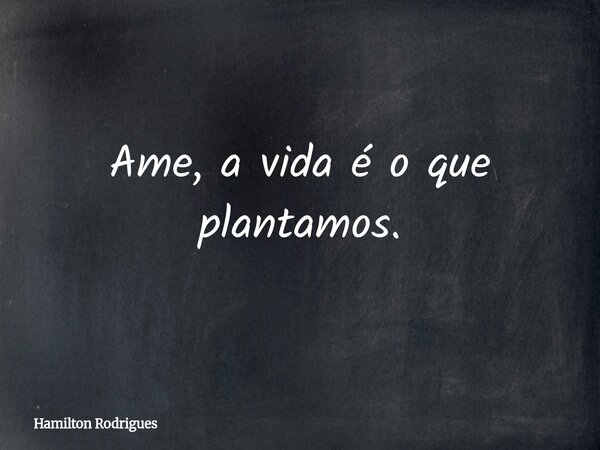 Ame, a vida é o que plantamos.... Frase de Hamilton Rodrigues.