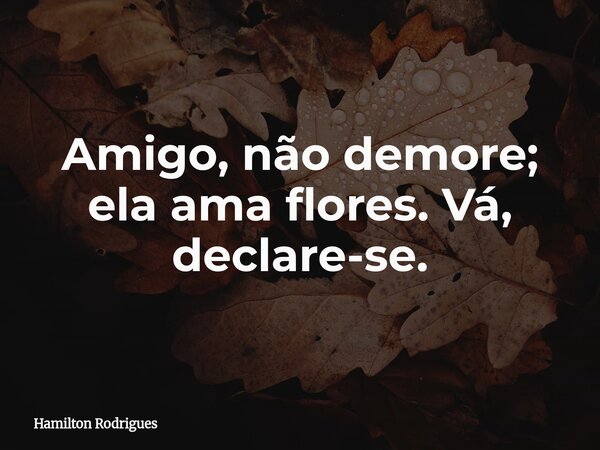 Amigo, não demore; ela ama flores. Vá, declare-se.... Frase de Hamilton Rodrigues.