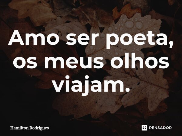 ⁠Amo ser poeta, os meus olhos viajam.... Frase de Hamilton Rodrigues.